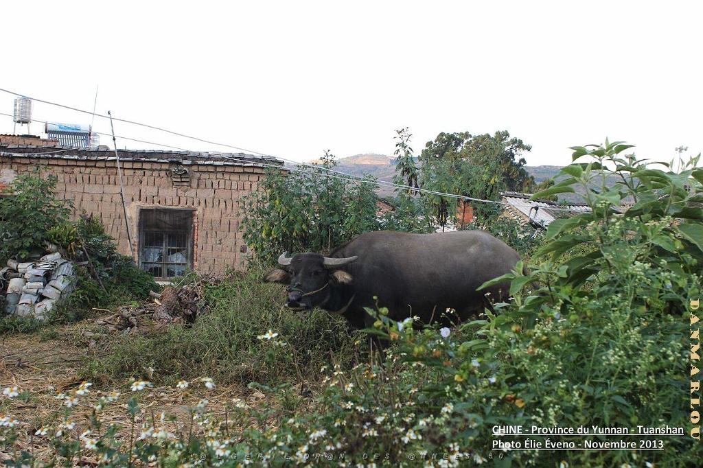 019 - Tuanshan.JPG